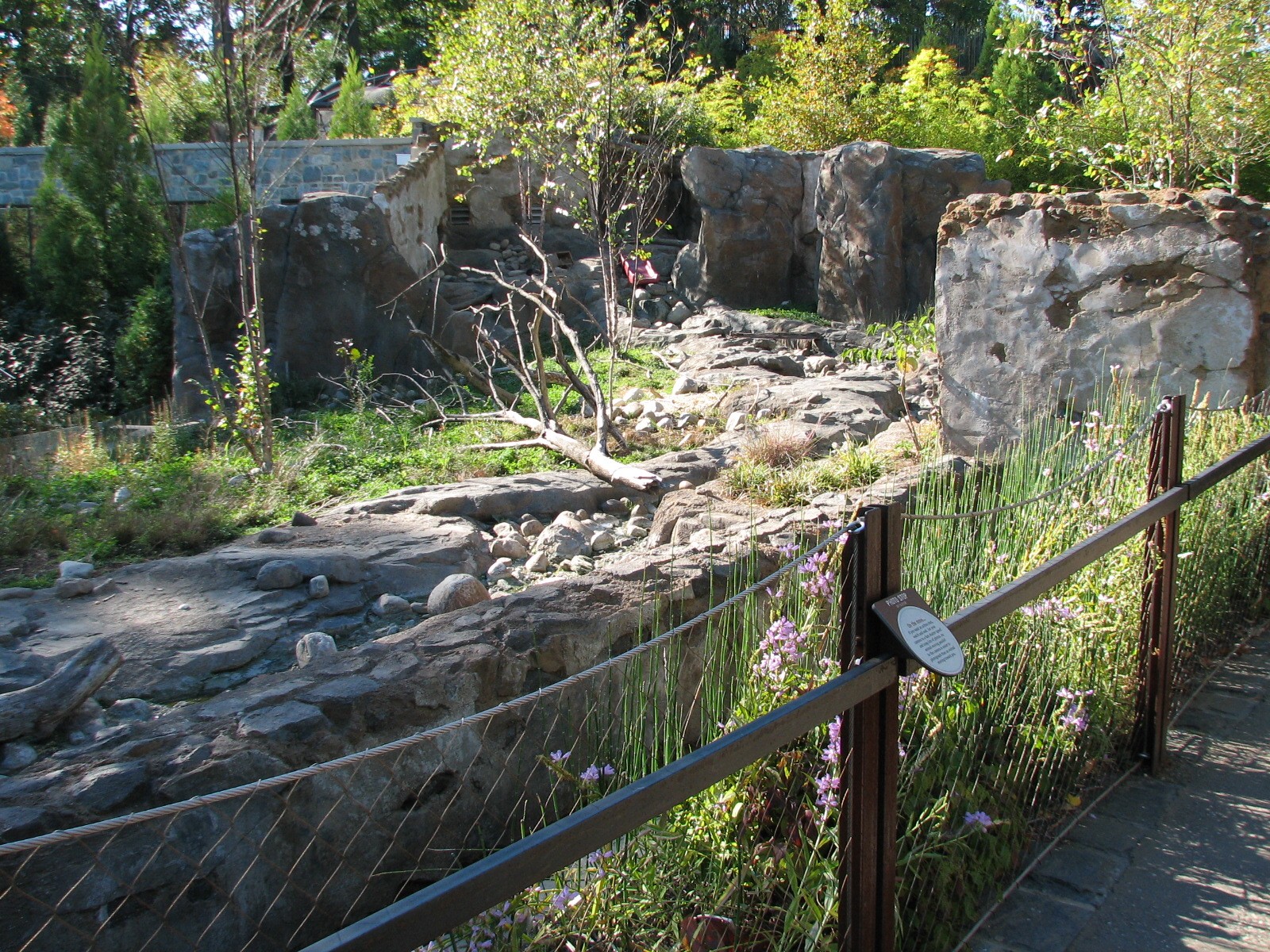 Asia Trail Small Clawed Otter Exhibit