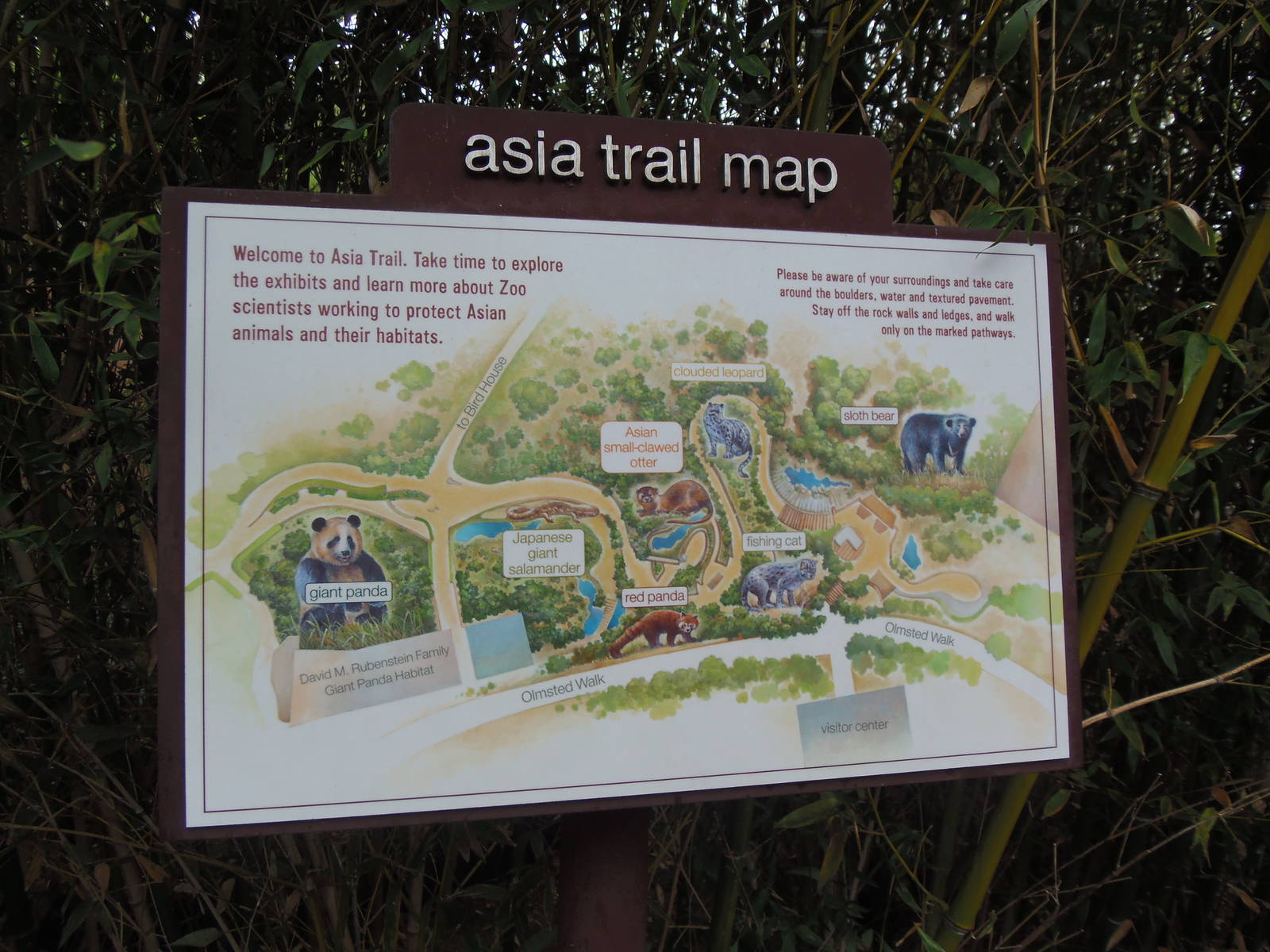 Asia Trail- Trail Map