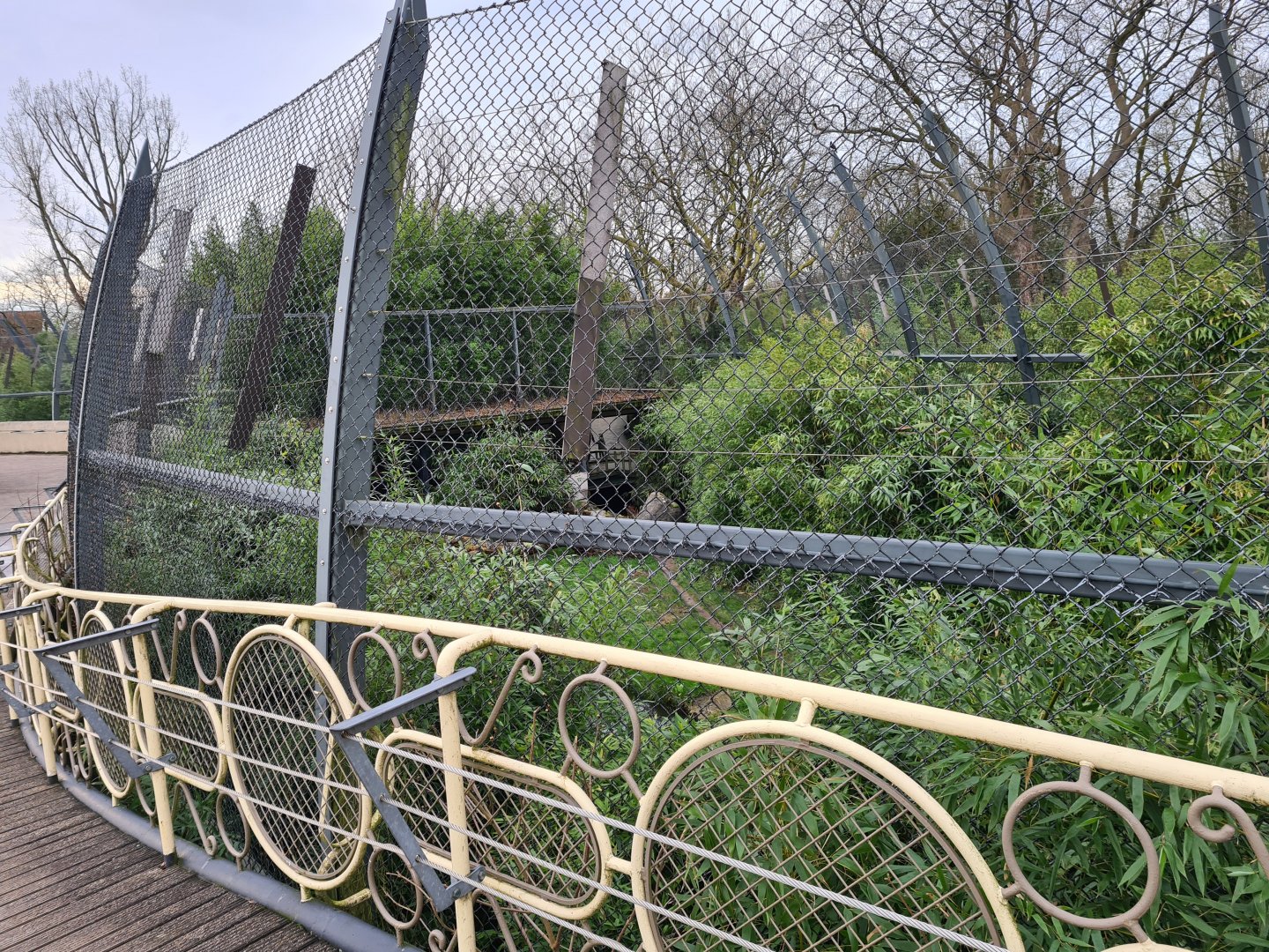 Asia - View of Sumatran tiger enclosure