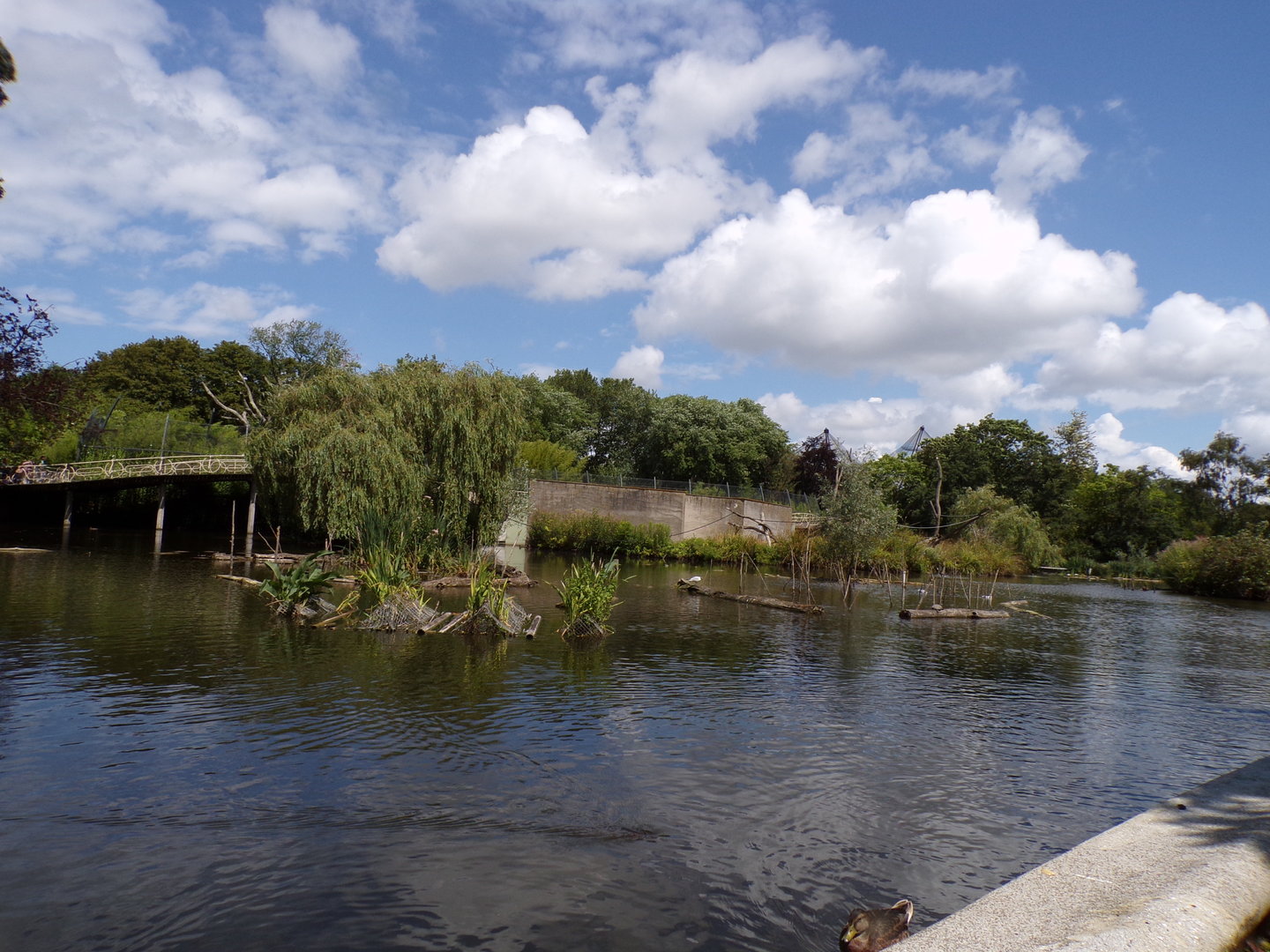 Asia- View of the lake 13.7.23