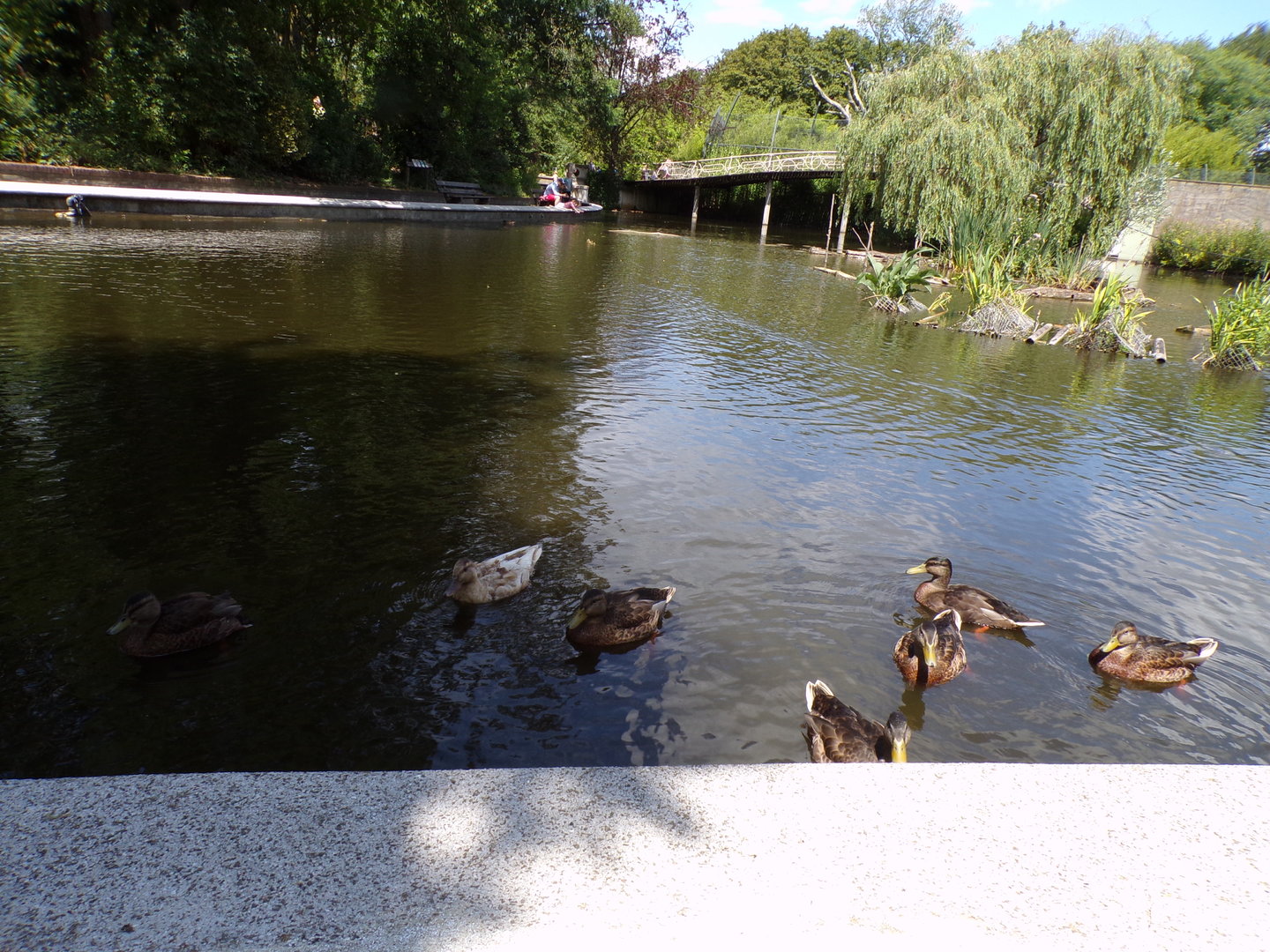 Asia- View of the lake 13.7.23