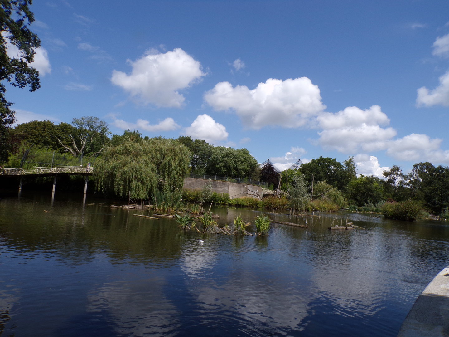 Asia- View of the lake 13.7.23