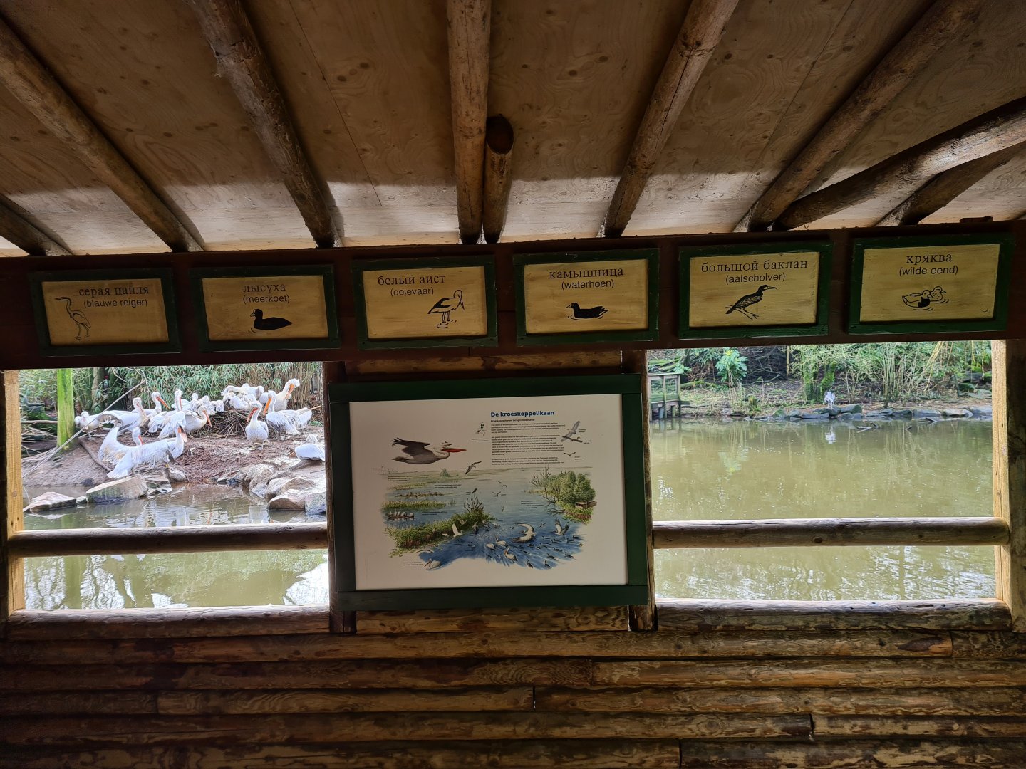 Asia - Viewing hut and bird signage in Amur lake