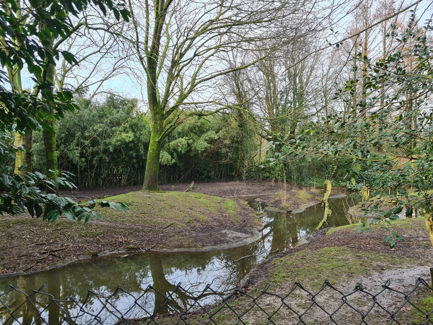 Asia - Visayan spotted deer enclosure