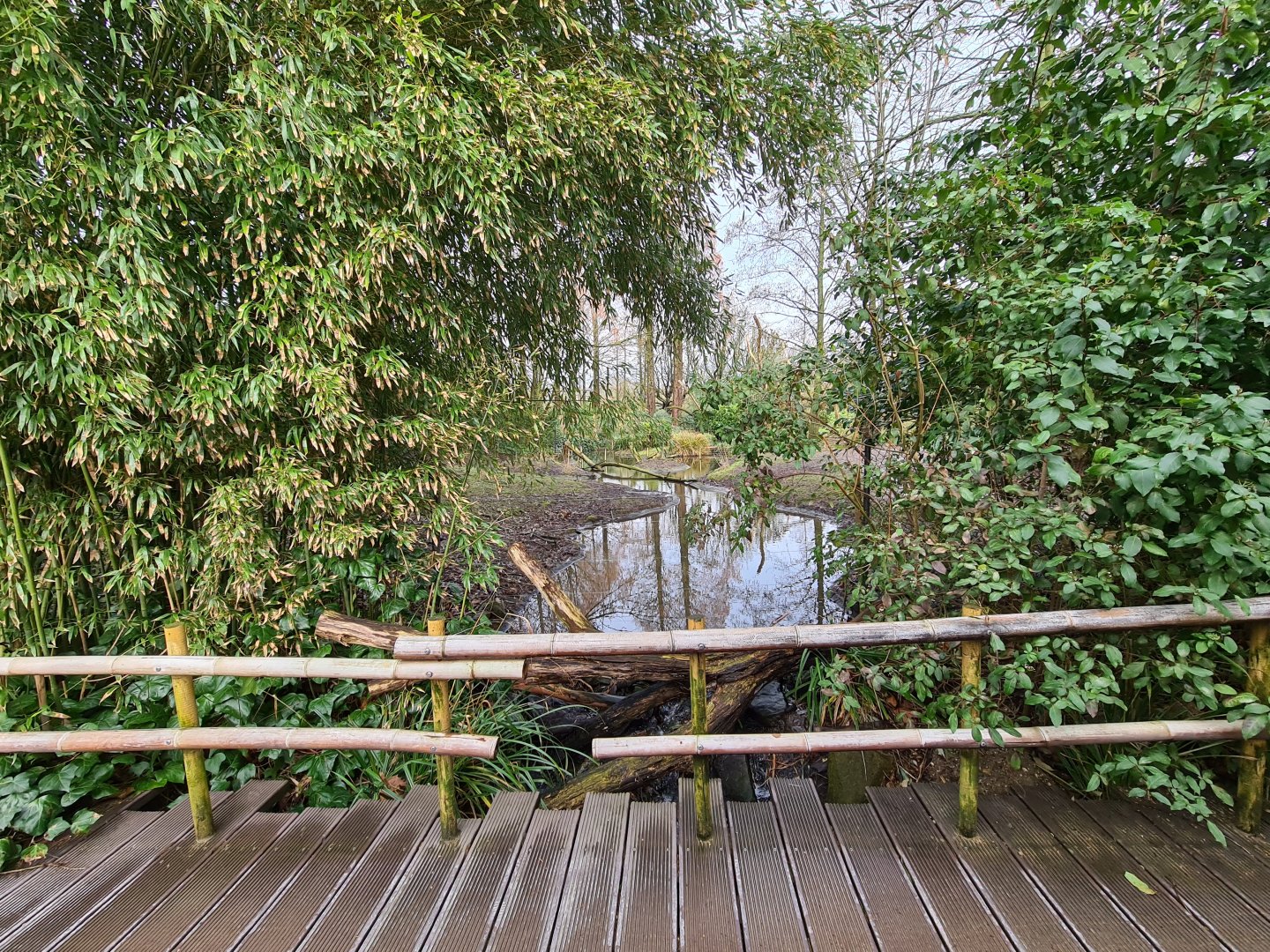 Asia - Visayan spotted deer enclosure