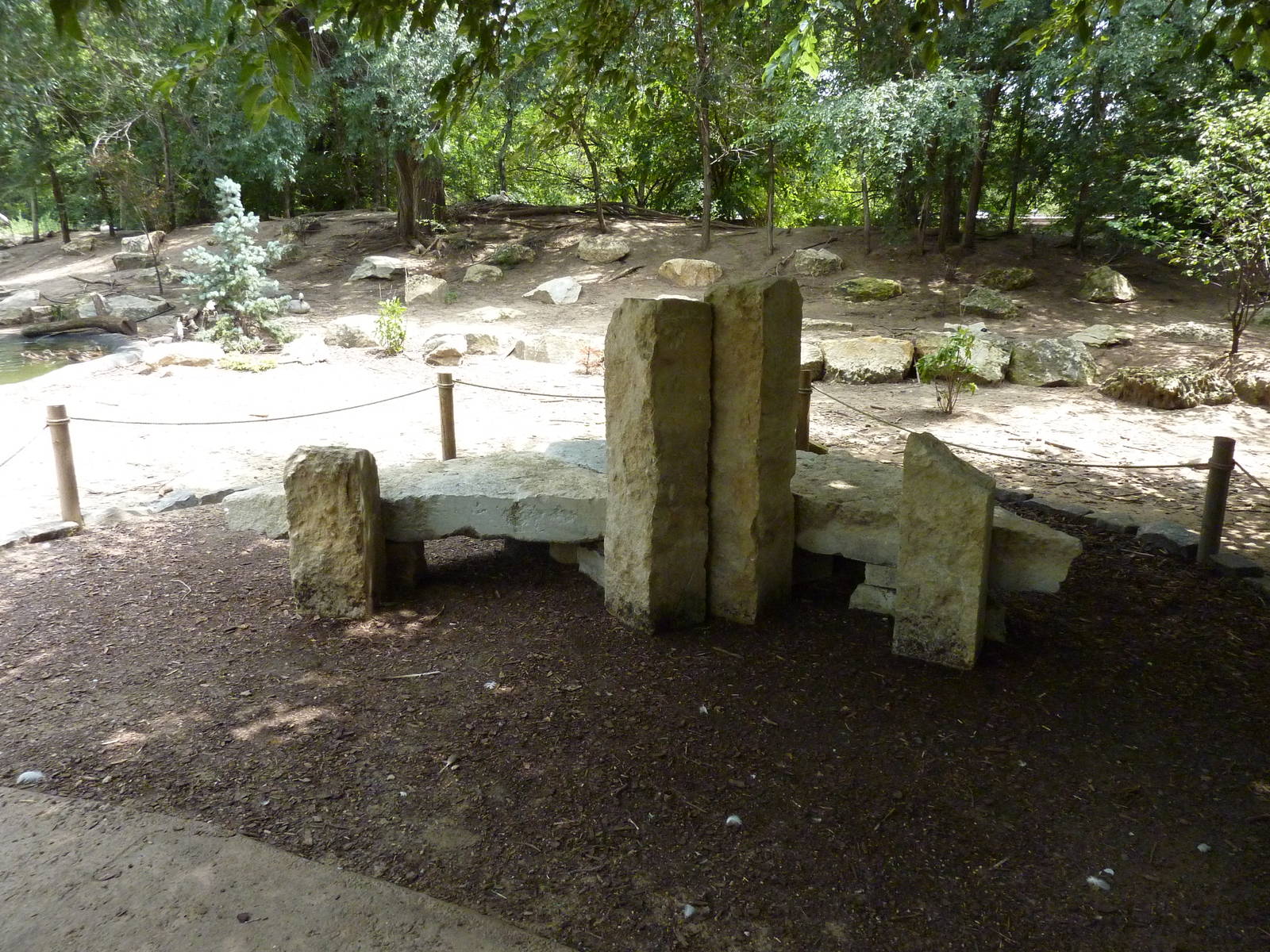 Asia - Walk-Through Bird Zone