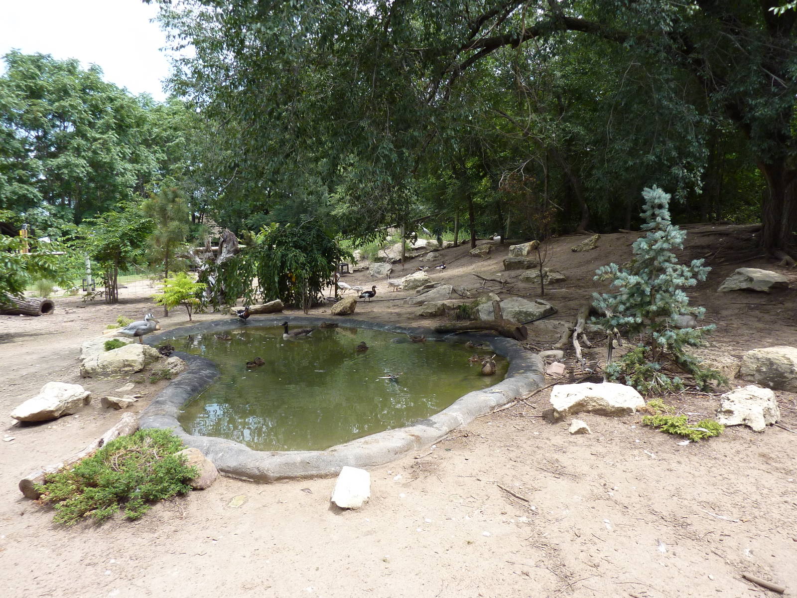 Asia - Walk-Through Bird Zone