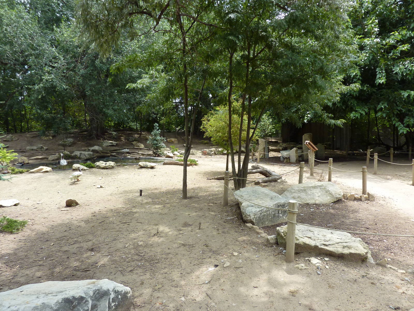 Asia - Walk-Through Bird Zone