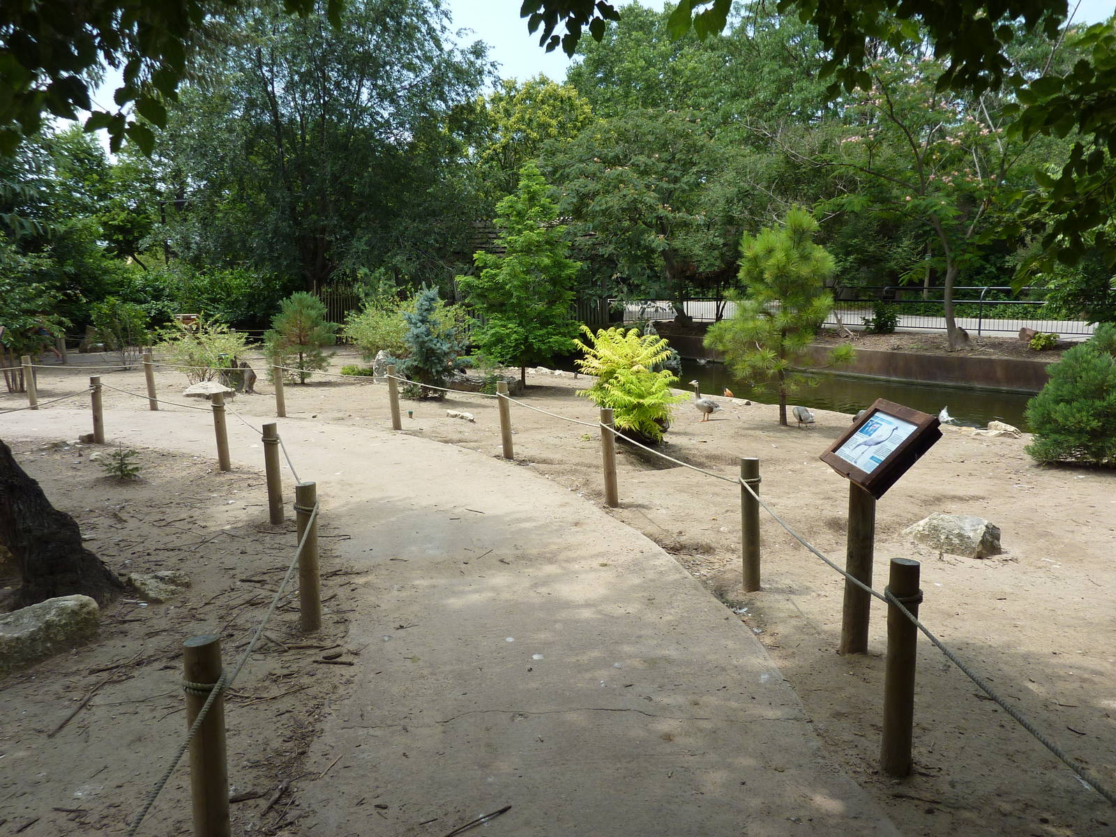 Asia - Walk-Through Bird Zone