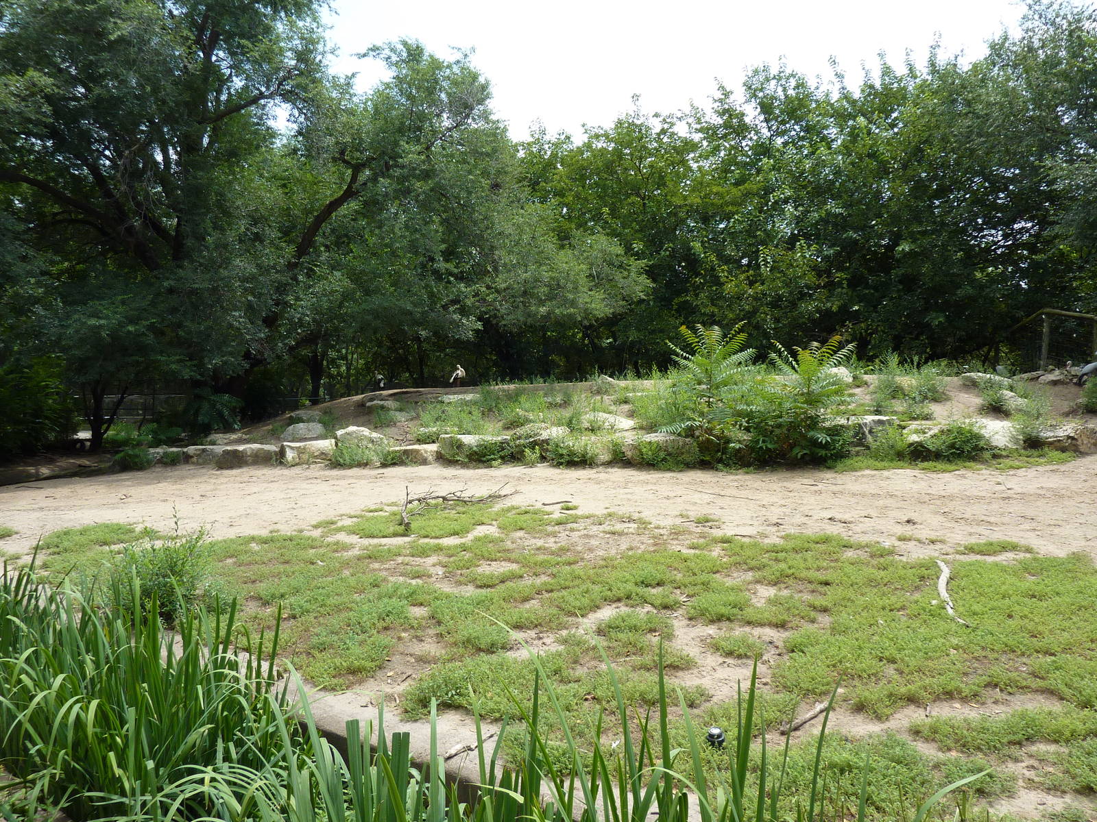 Asia - Walk-Through Bird Zone