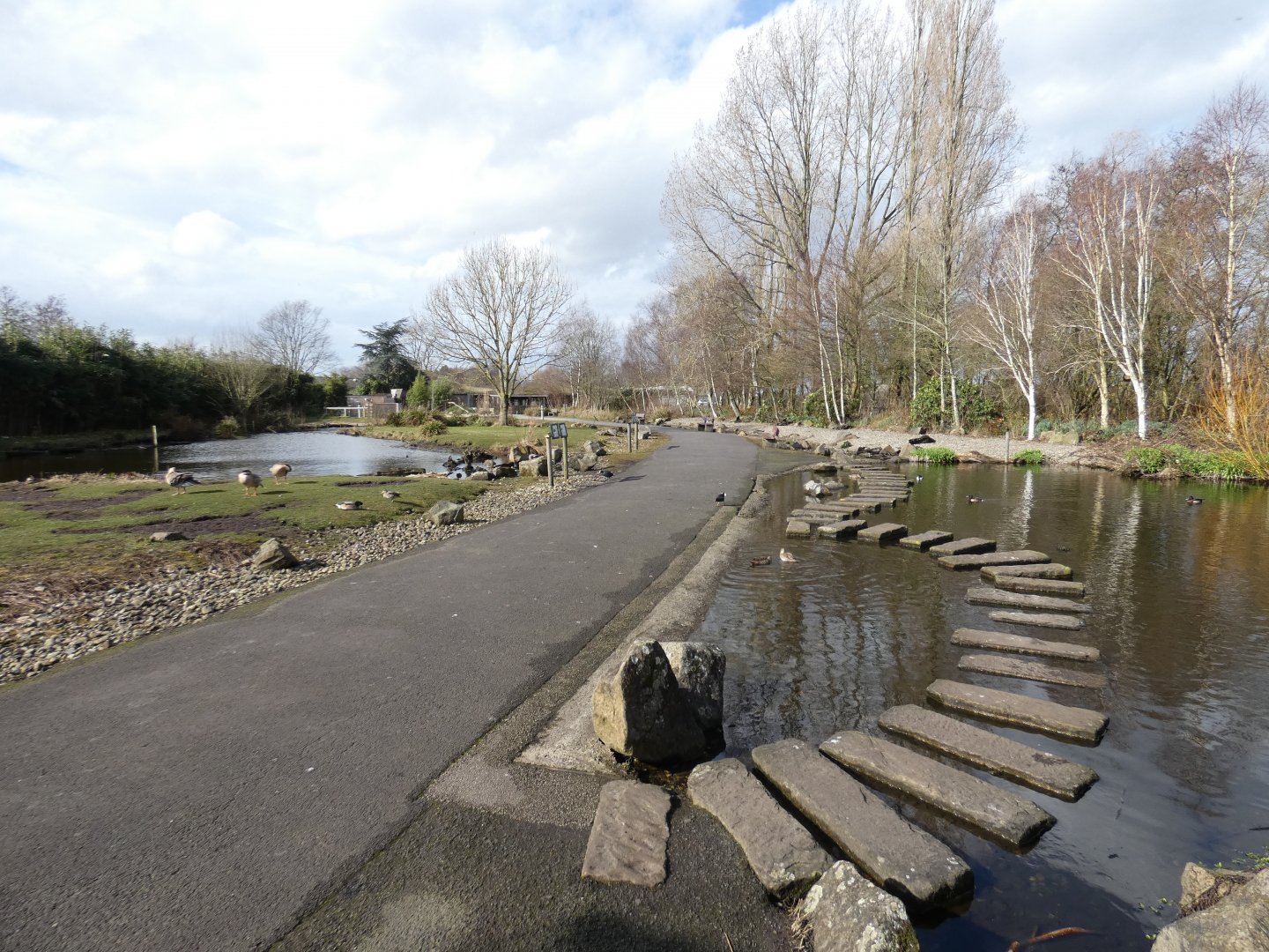Asia walk-through enclosure