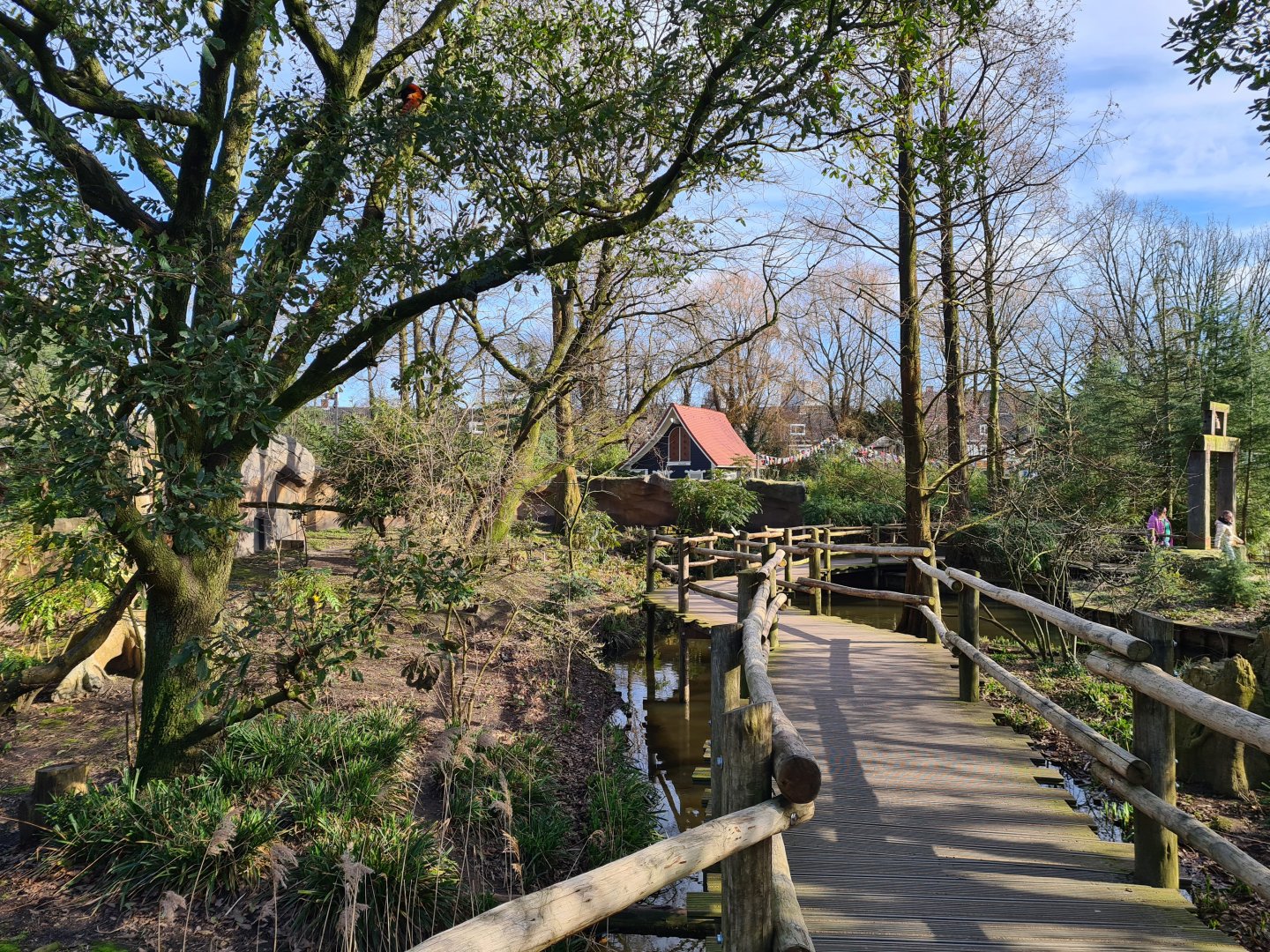 Asia - Walkway over second Red panda enclosure