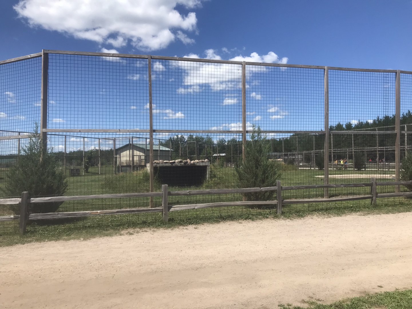 “Asia” - White “Bengal” Tiger Exhibit