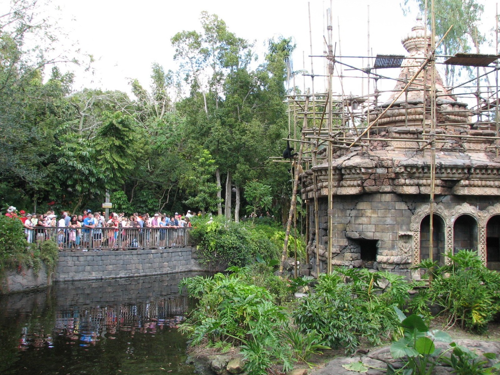 Asia - White-cheeked Gibbon Exhibit