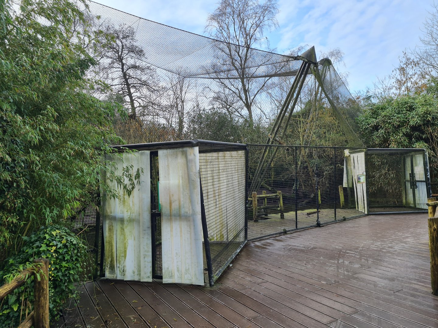 Asia - White-naped crane aviary in Asian swamp