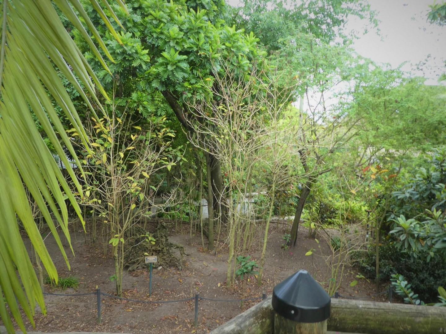 Asia - Wings of Asia - General View