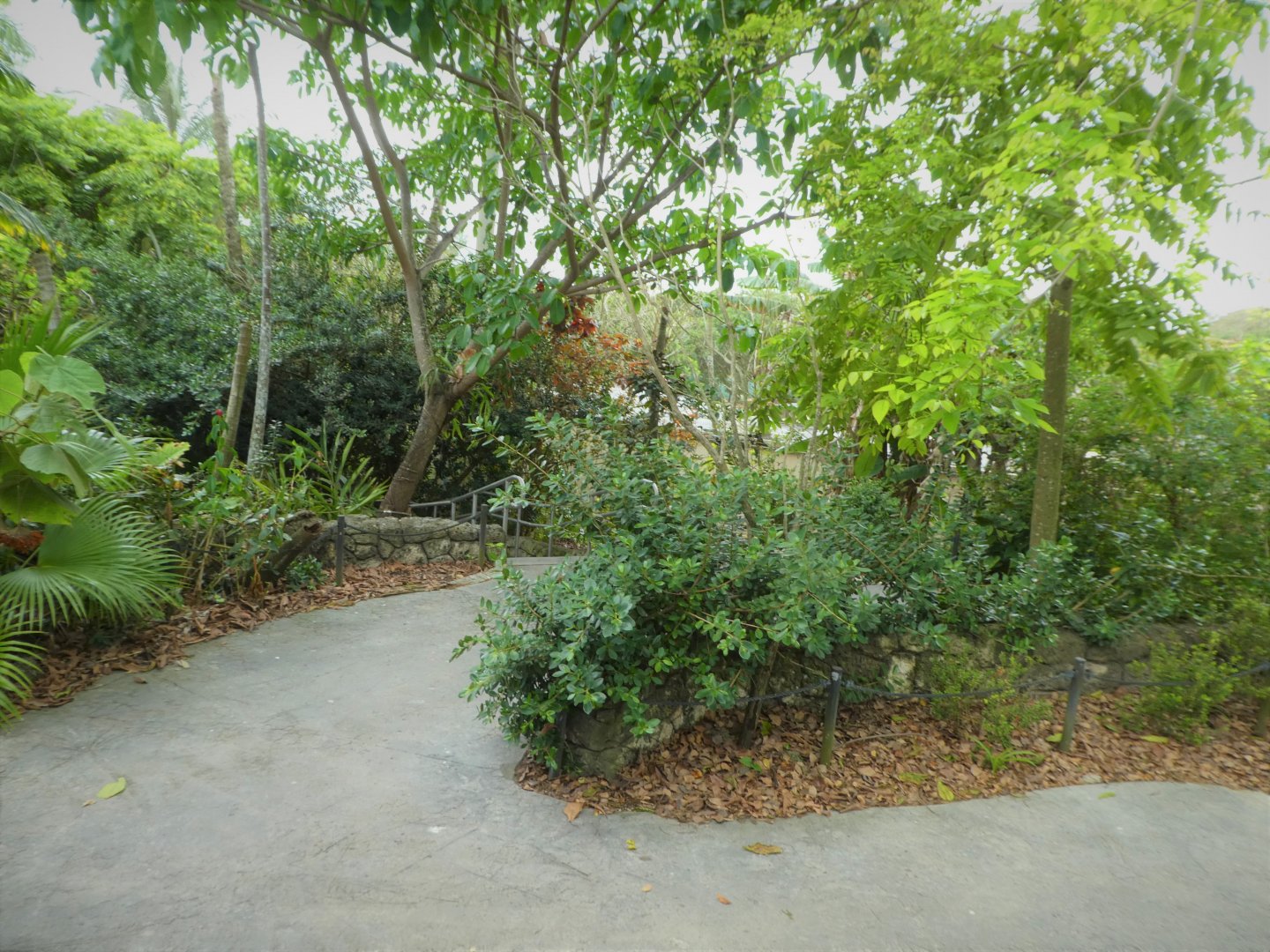 Asia - Wings of Asia - General View