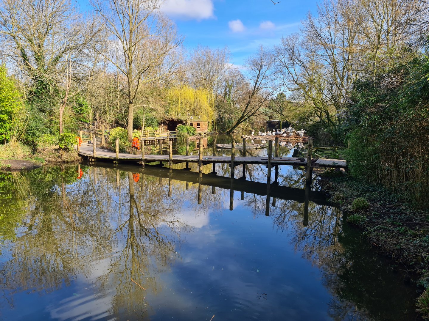 Asia - Work on Amur lake boardwalk