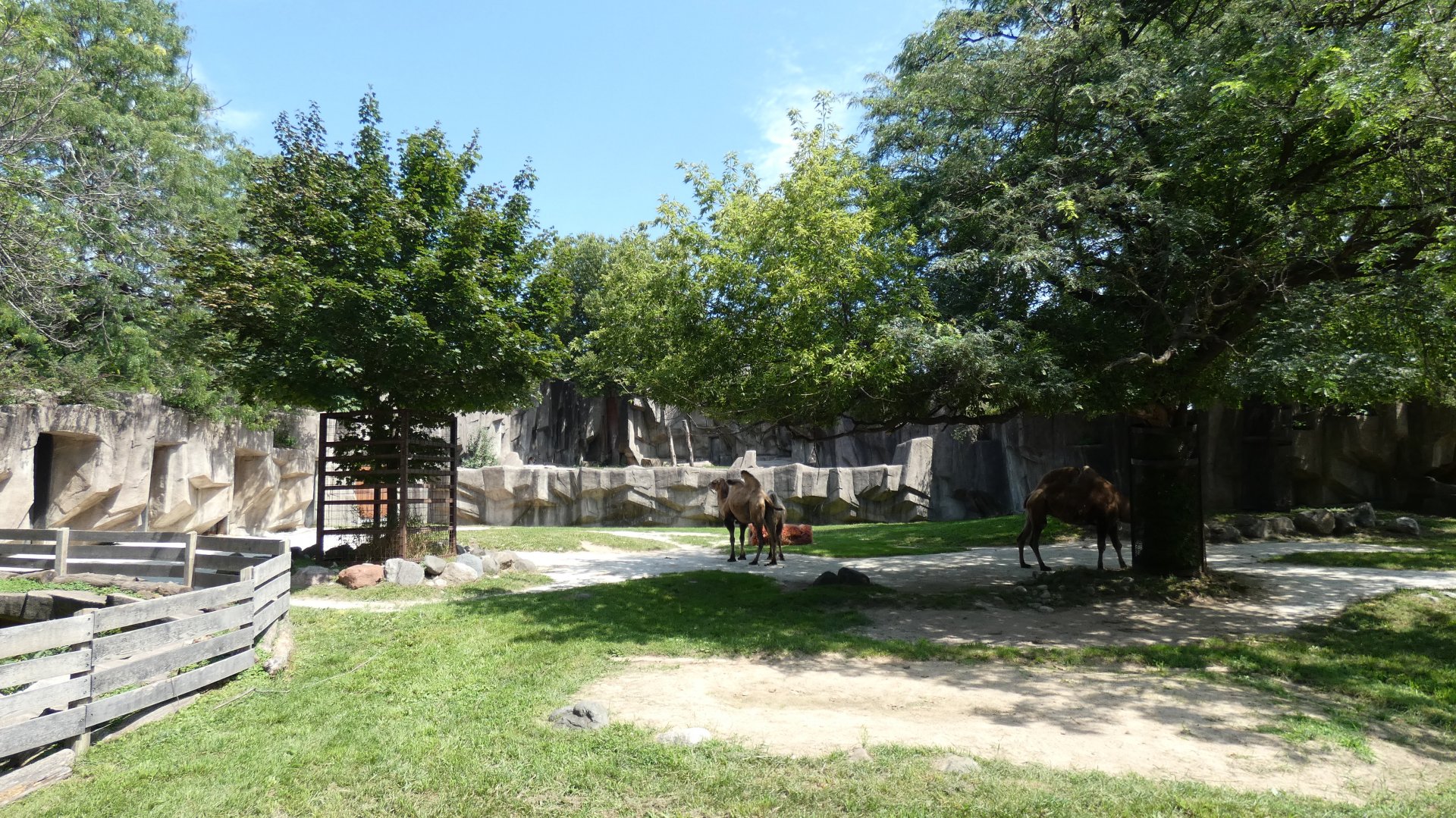 Asia Yard/Outdoor Tiger Exhibit, Africa/Asia/South America - Aug. 2021