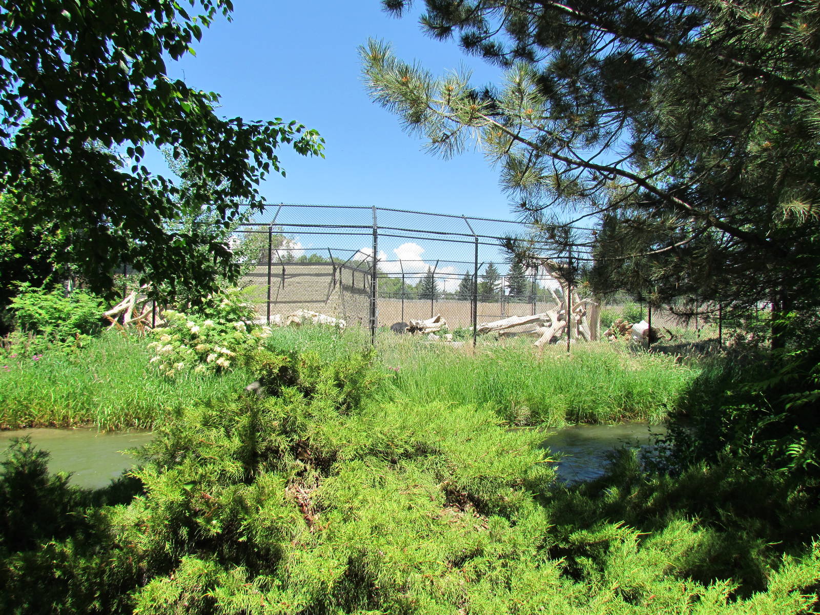 Asian Adventure - Sloth Bear Exhibit