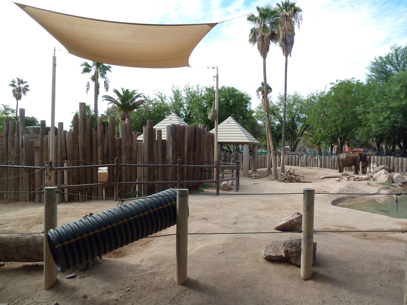 Asian + African Elephant Exhibit