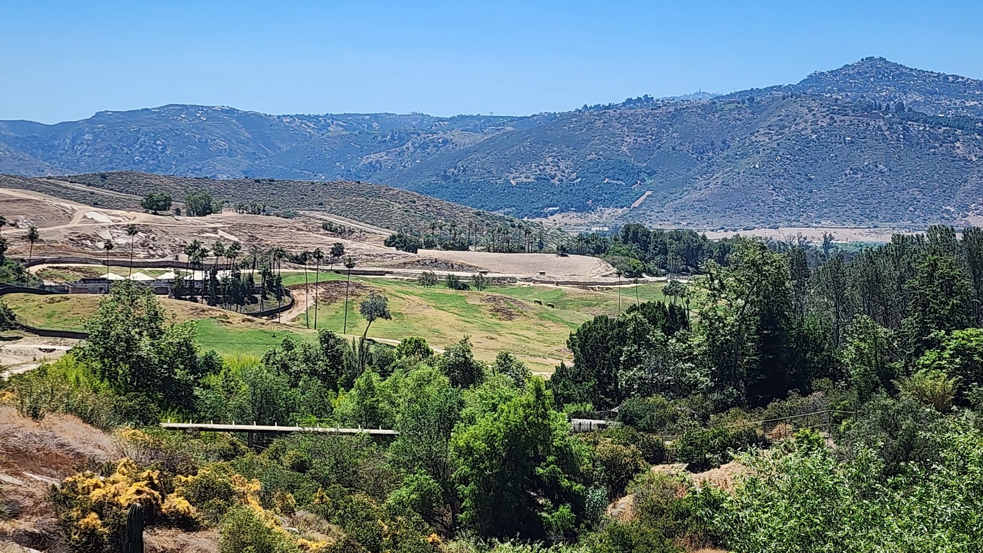 Asian/African Savannah