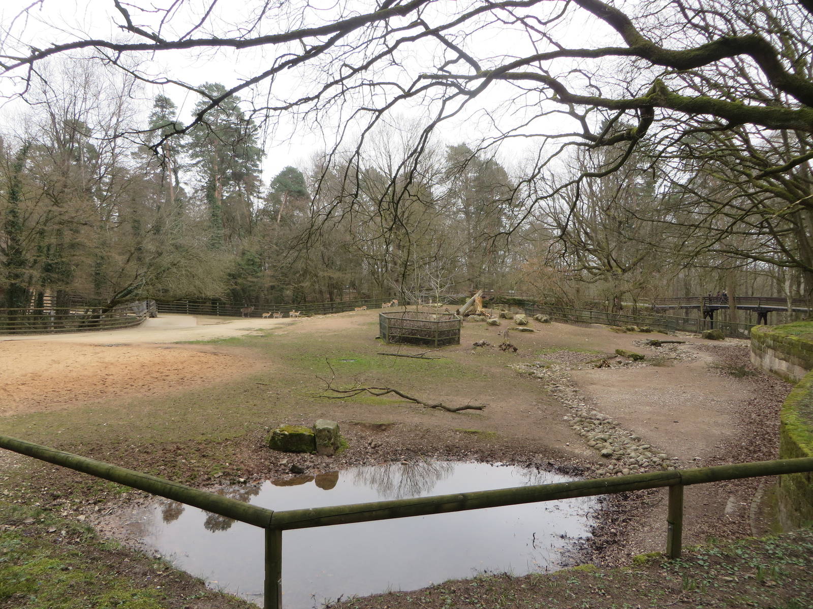 Asian antelope paddock