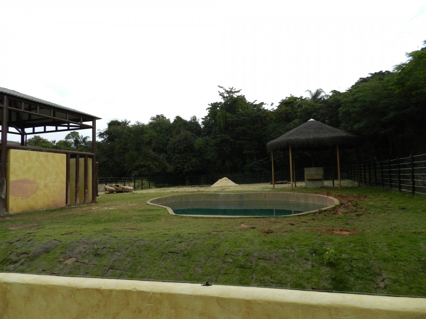 Asian area - BioParque do Rio