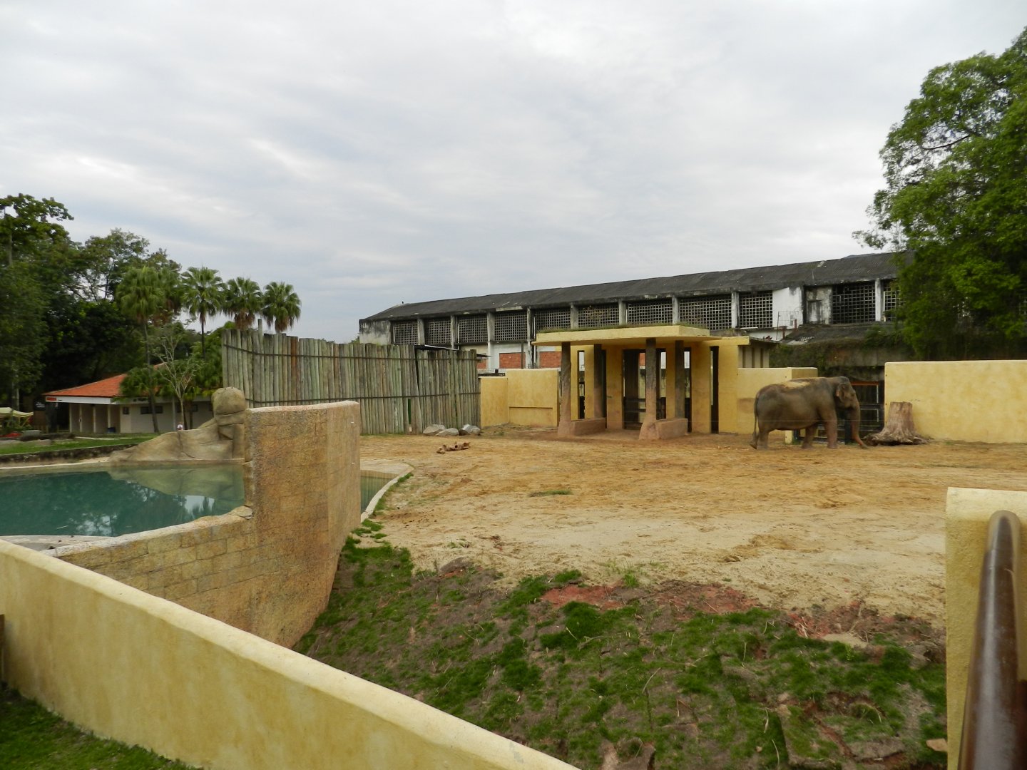 Asian area - BioParque do Rio