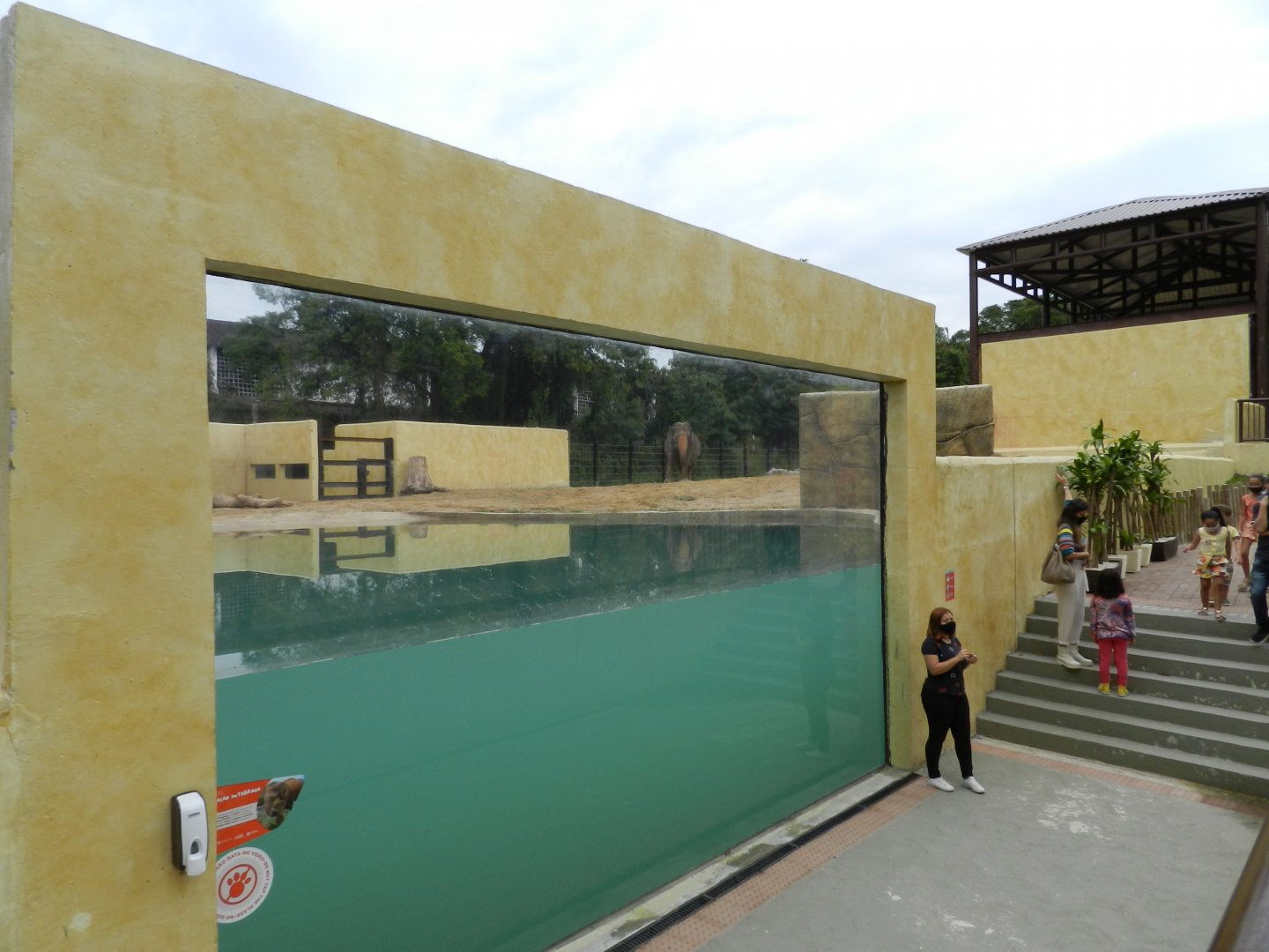 Asian area, underwater viewing - BioParque do Rio
