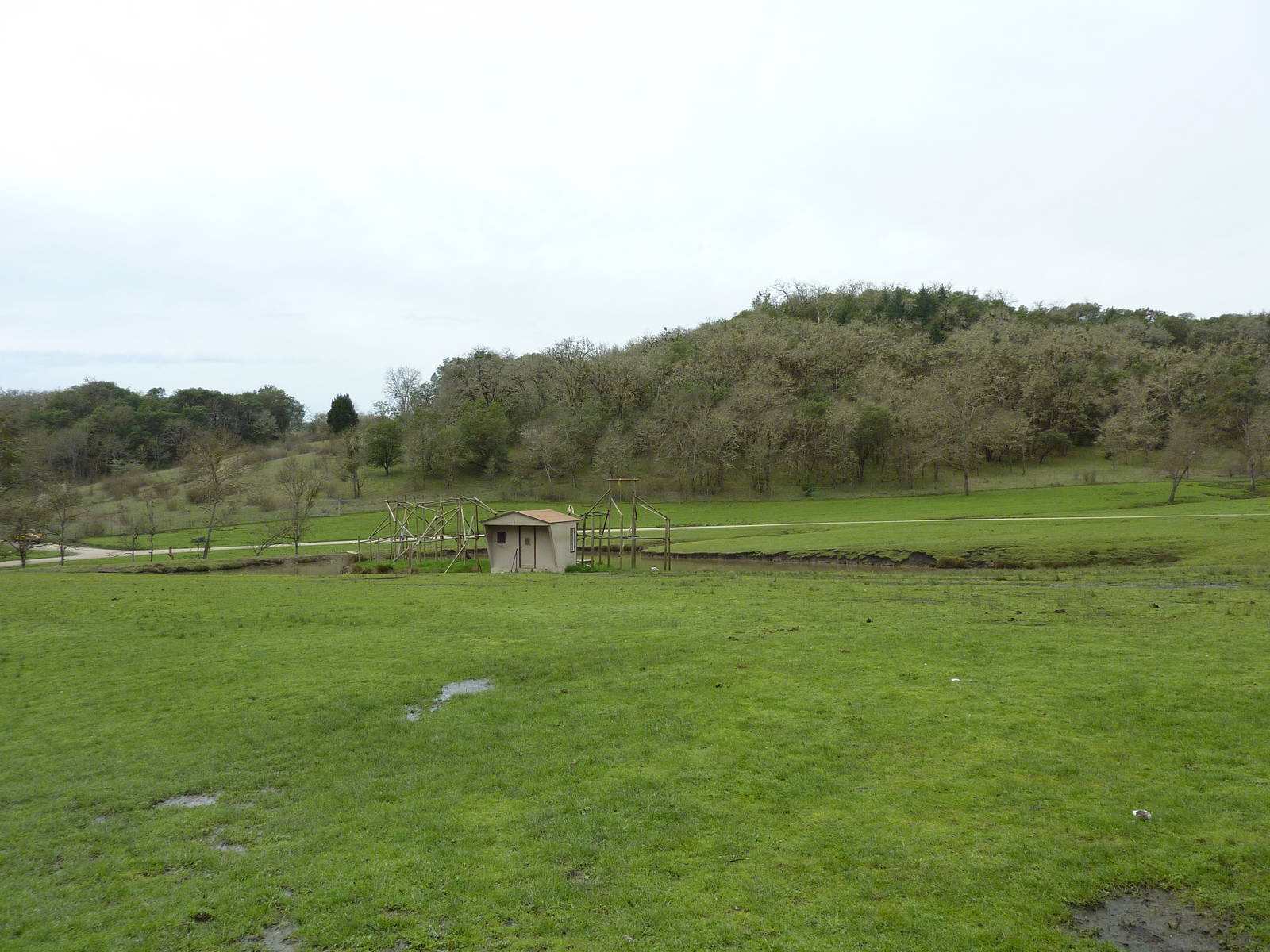Asian Area - White-Cheeked Gibbon Exhibit