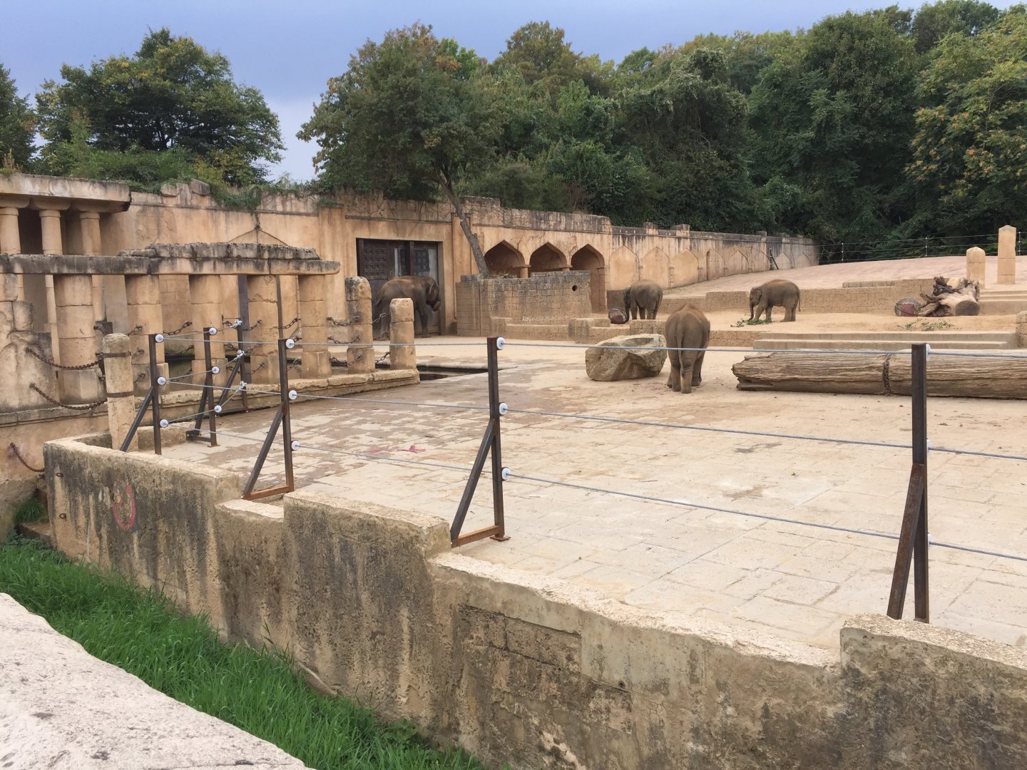 Asian area with elephants