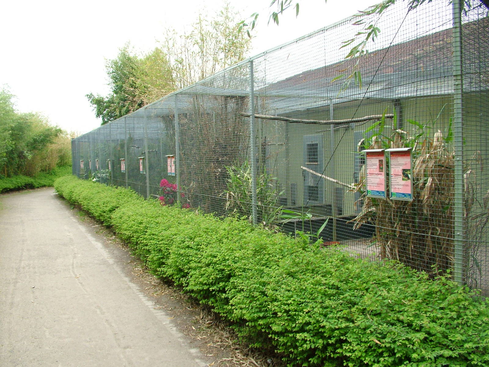 Asian aviaries at Plantaria 14/05/09