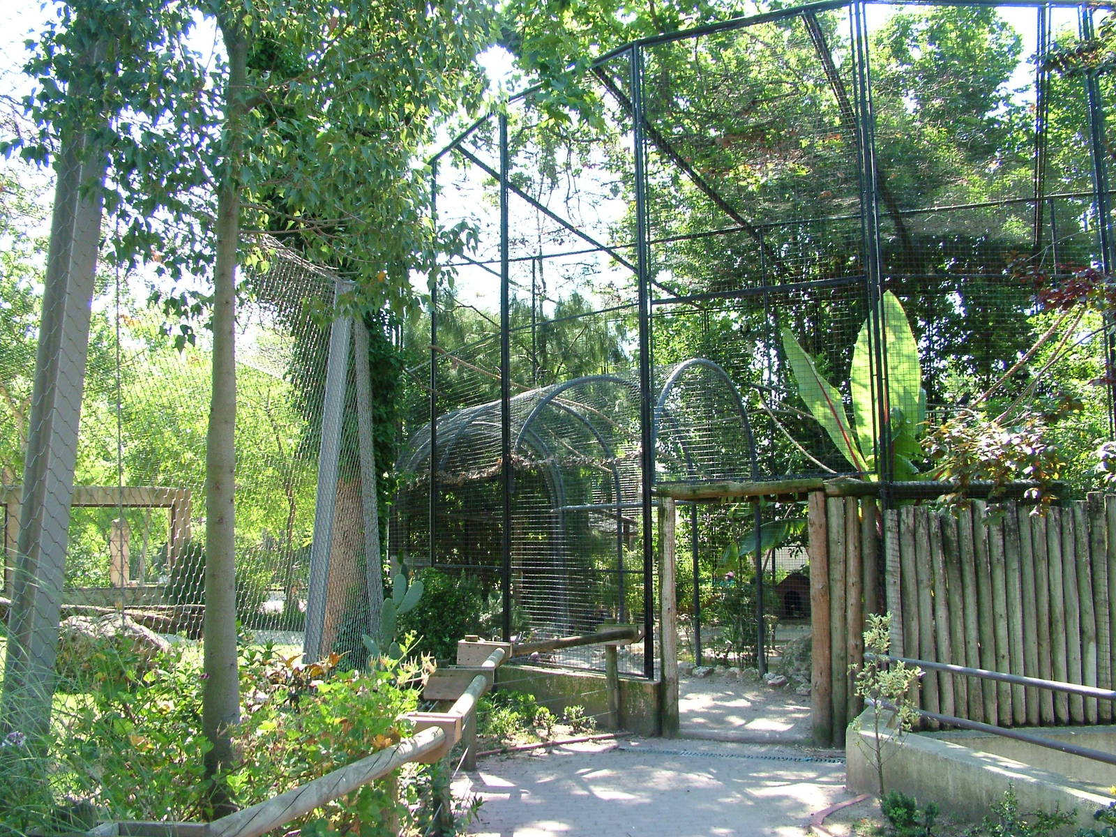 Asian Aviary at Lisbon Zoo, 24/05/11