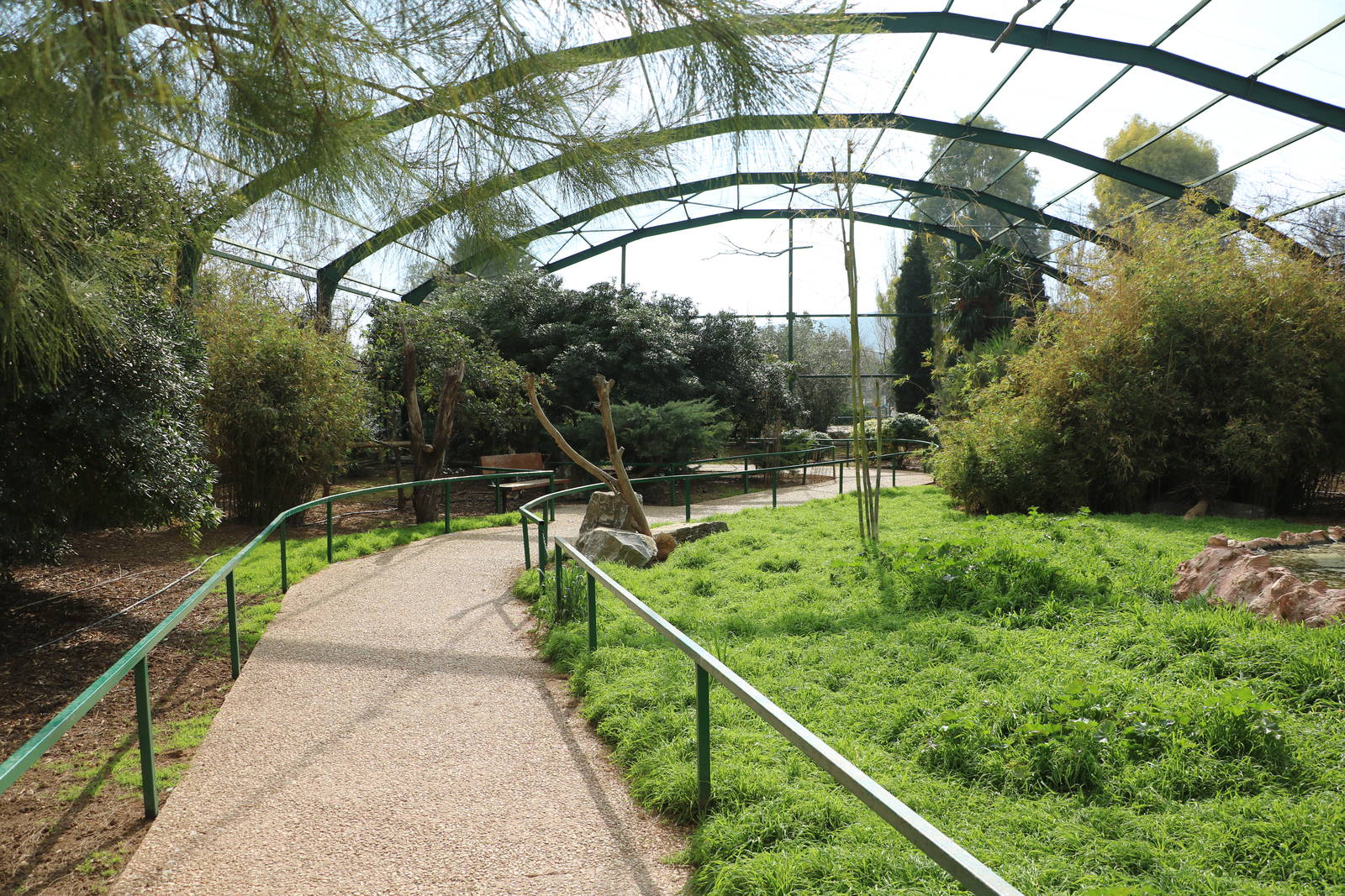 Asian aviary, February 2016