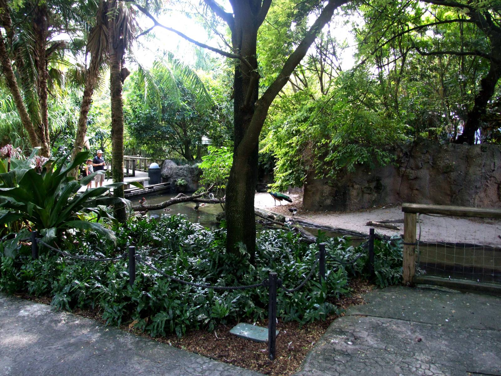 Asian Aviary Interior at Miami, 12/10/13