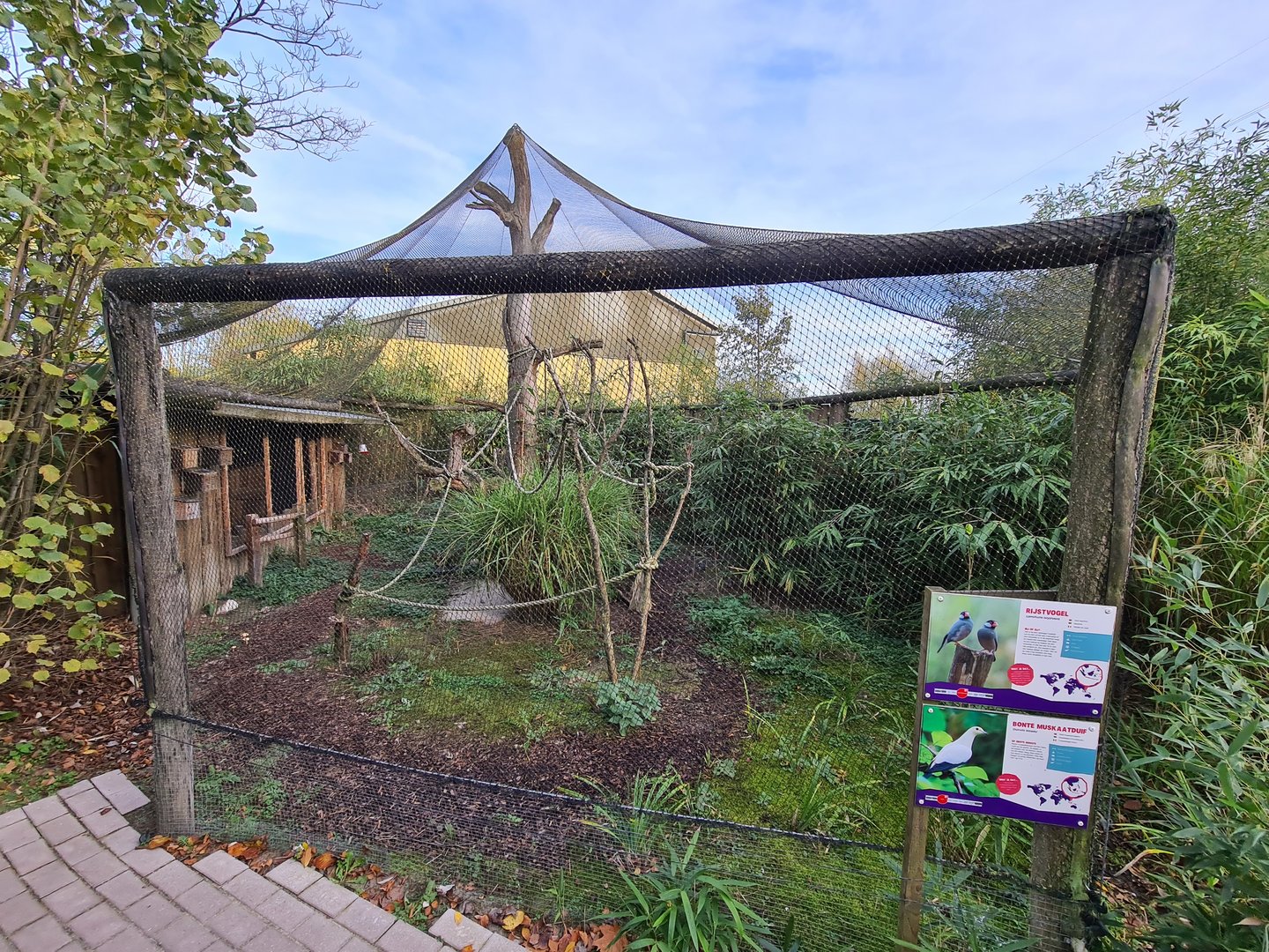 Asian aviary next to Elephant stables