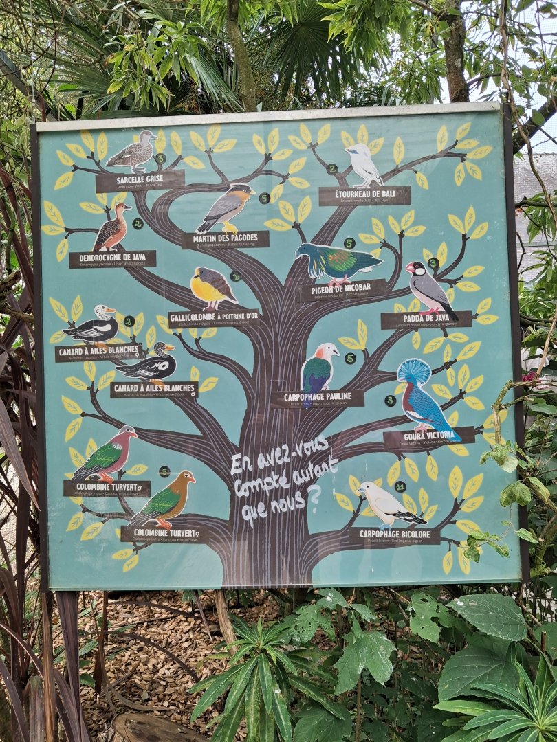 Asian aviary species list and count - Branféré 07/2025