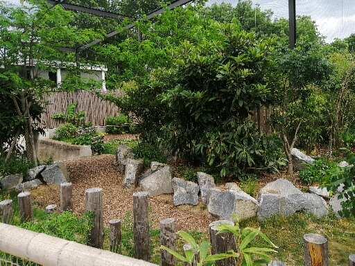 Asian aviary - tapir exhibit