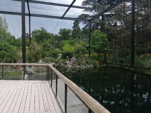Asian aviary - tapir pond