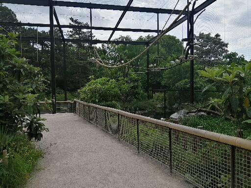 Asian aviary