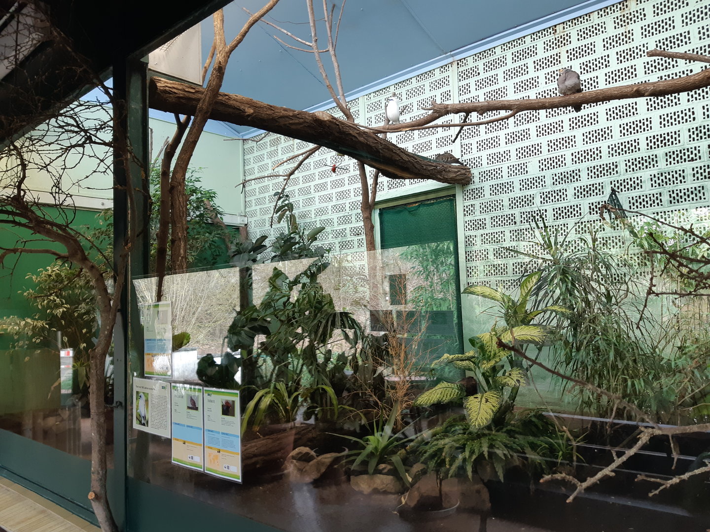 Asian bird house - Zoo Saarbrücken