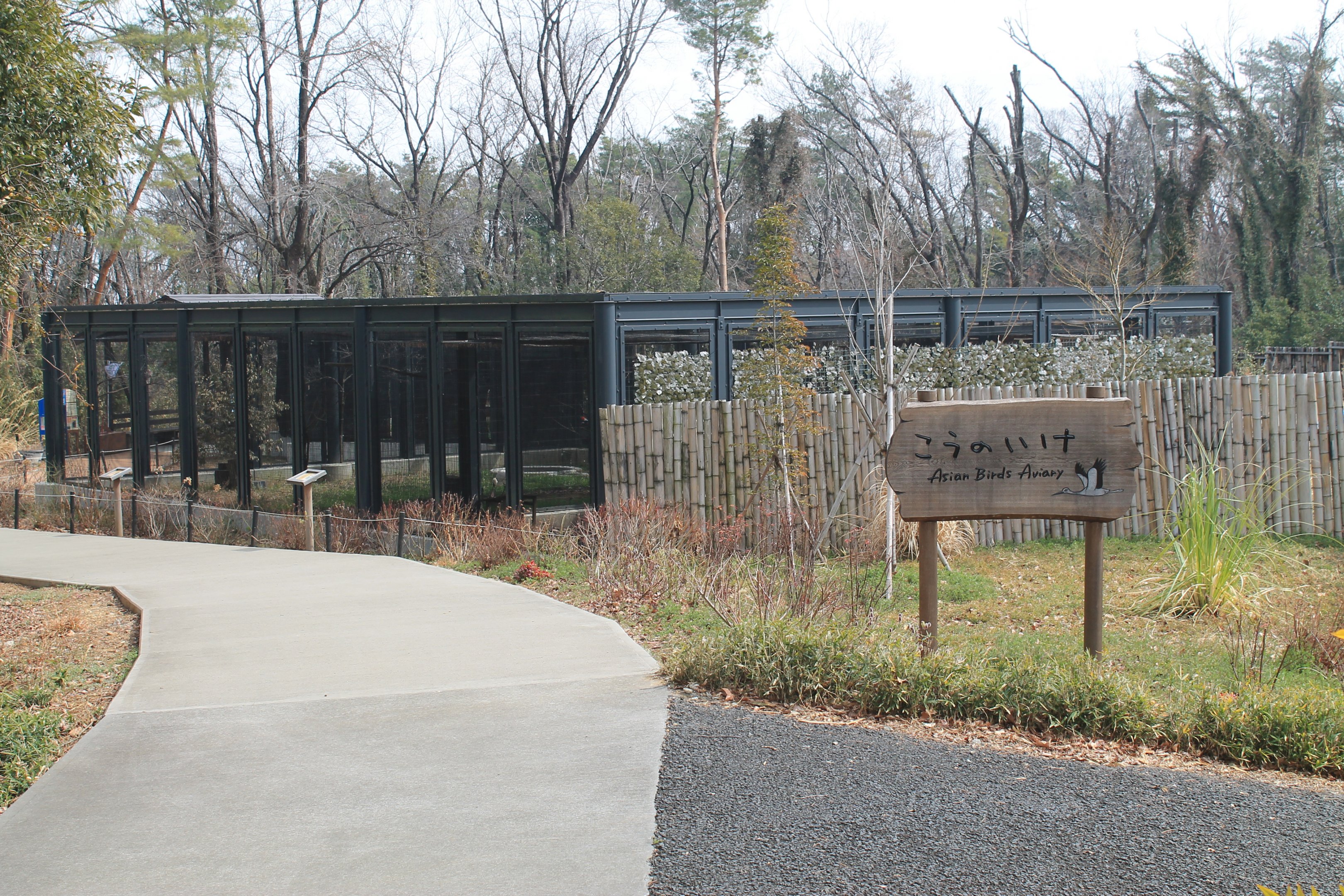 Asian Birds Aviaries - Saitama Childrens Zoo