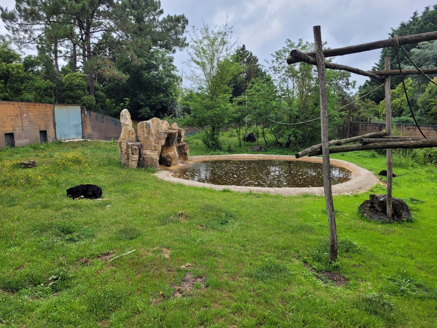 Asian black bear and American black bear exhibit -Zoo du bassin d'Arcachon (2024)