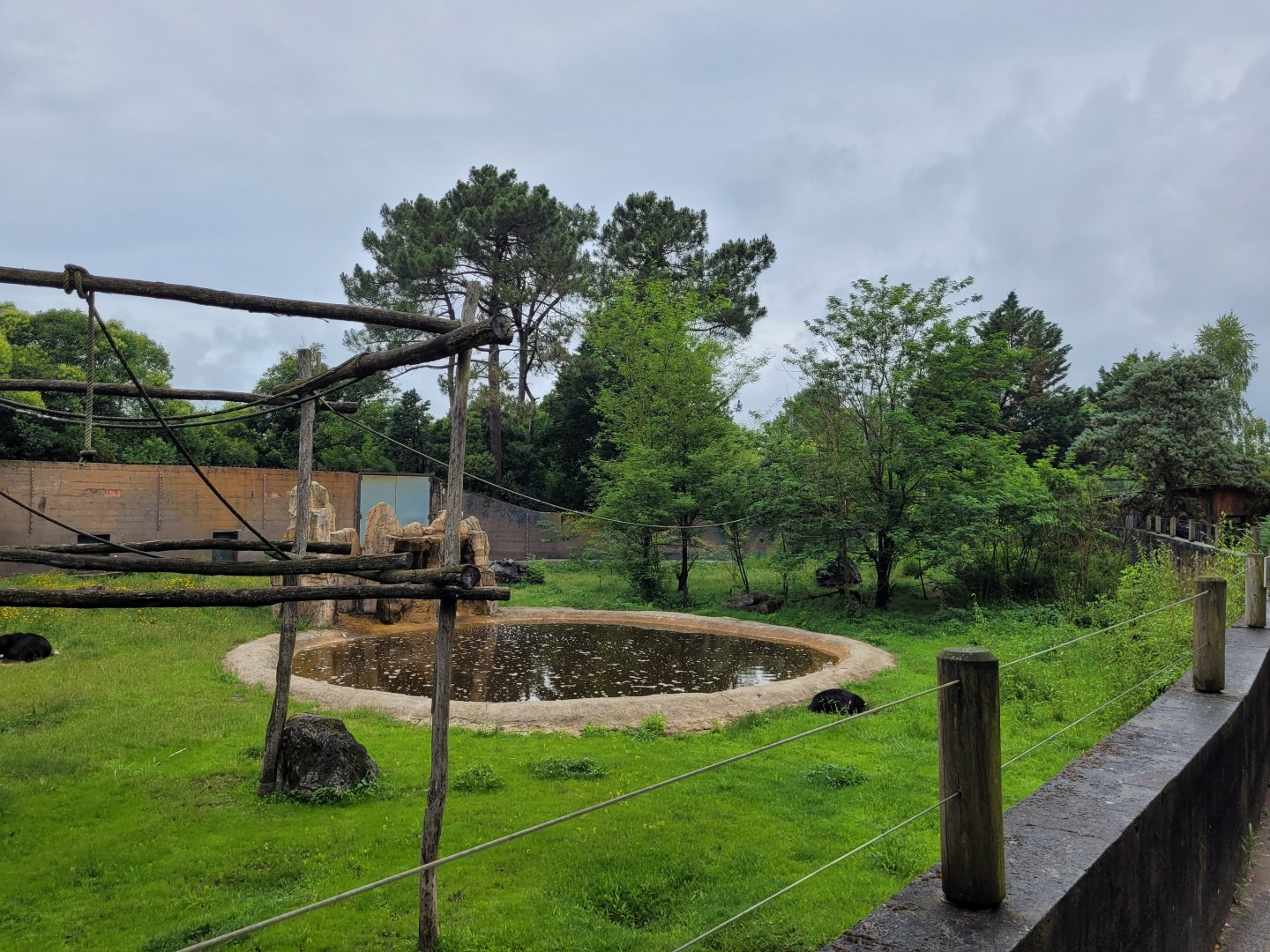 Asian black bear and American black bear exhibit -Zoo du bassin d'Arcachon (2024)