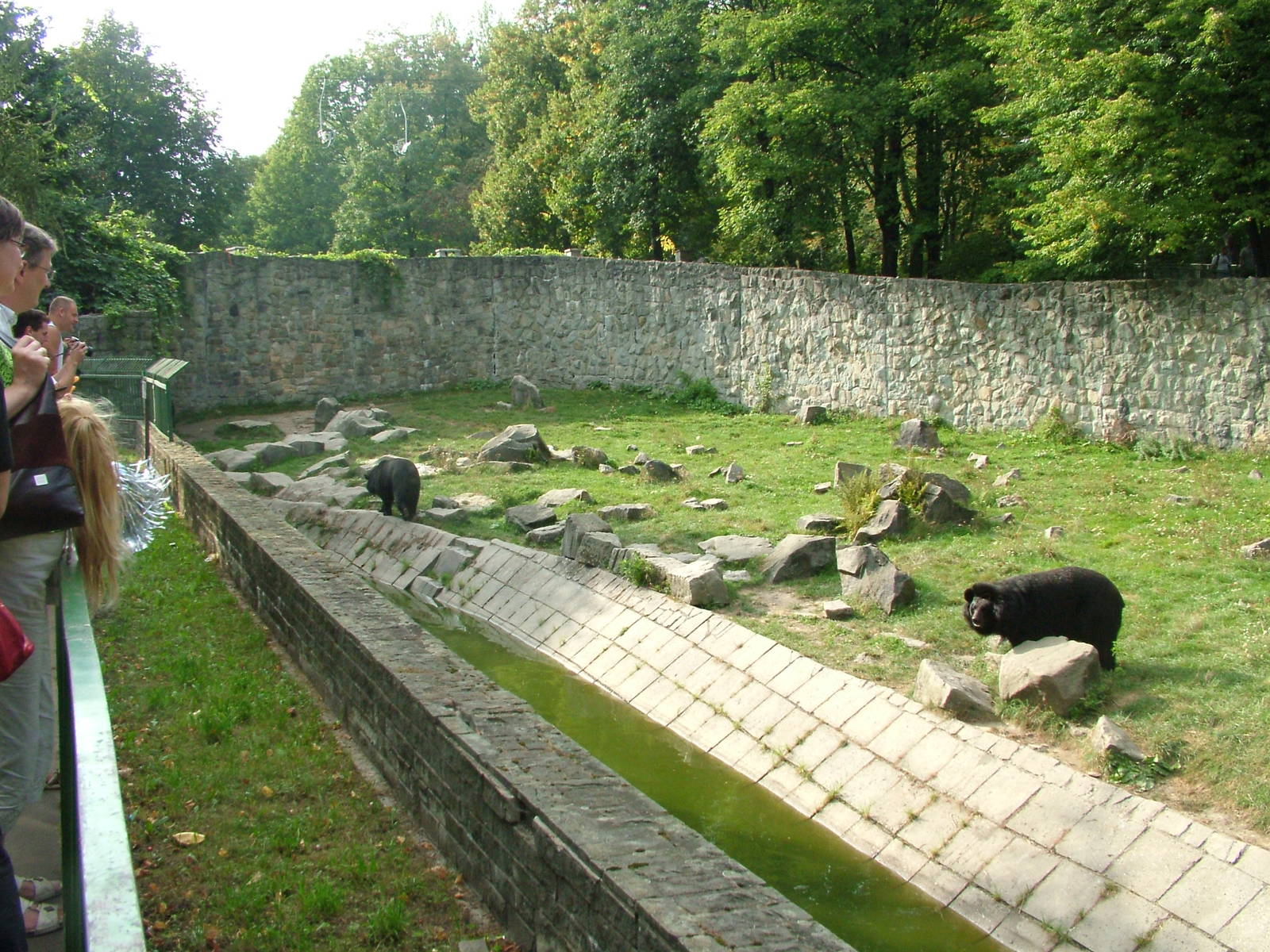 Asian Black Bear enclosure at Katowice Zoo Sept 2008