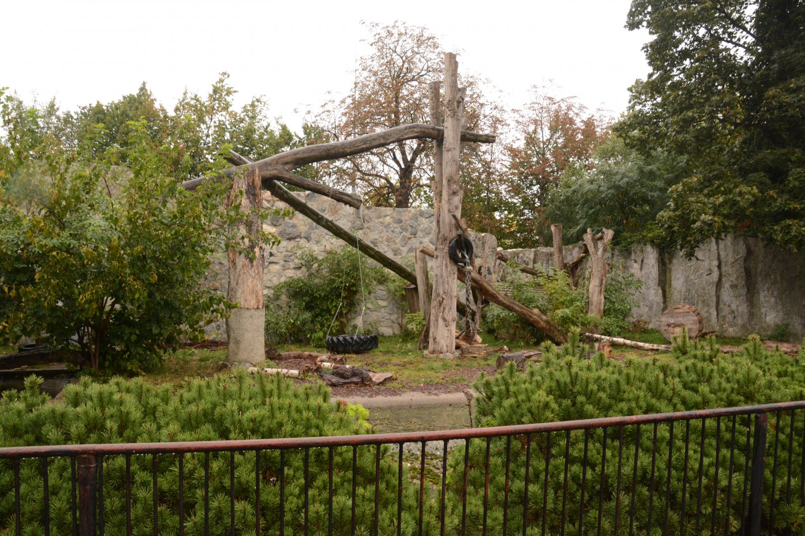 Asian Black Bear enclosure