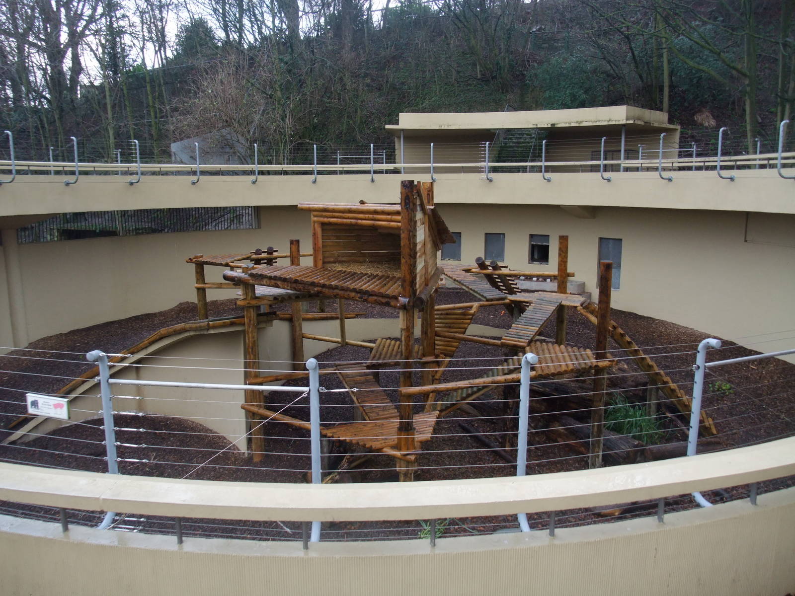 Asian Black Bear Exhibit at Dudley, 18/12/11