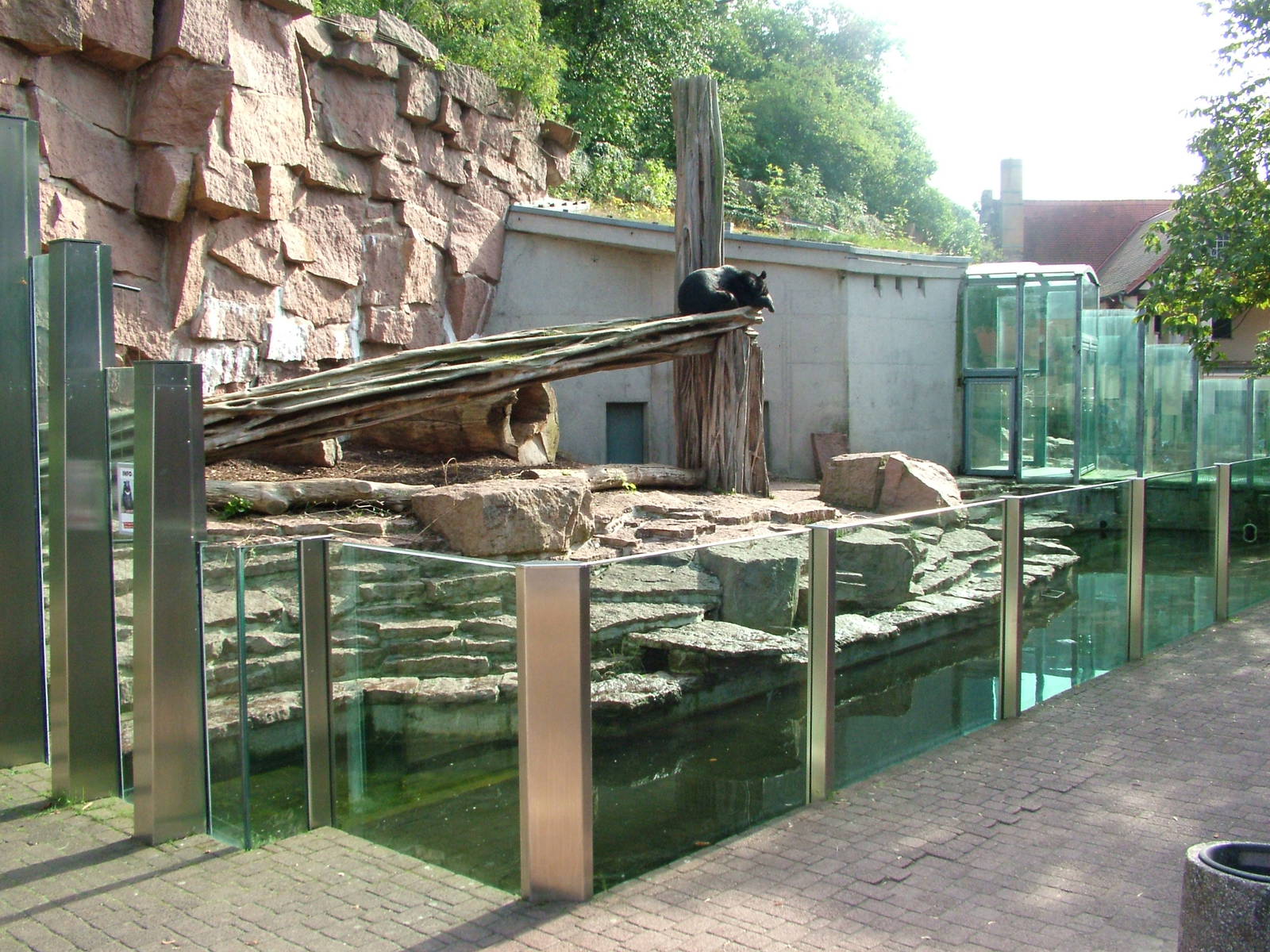 Asian Black Bear Exhibit at Halle, 04/09/11