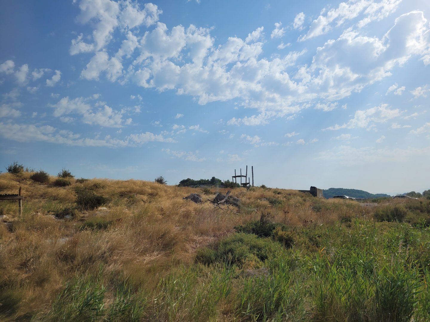 Asian black bear exhibit -Réserve Africaine de Sigean (2022)